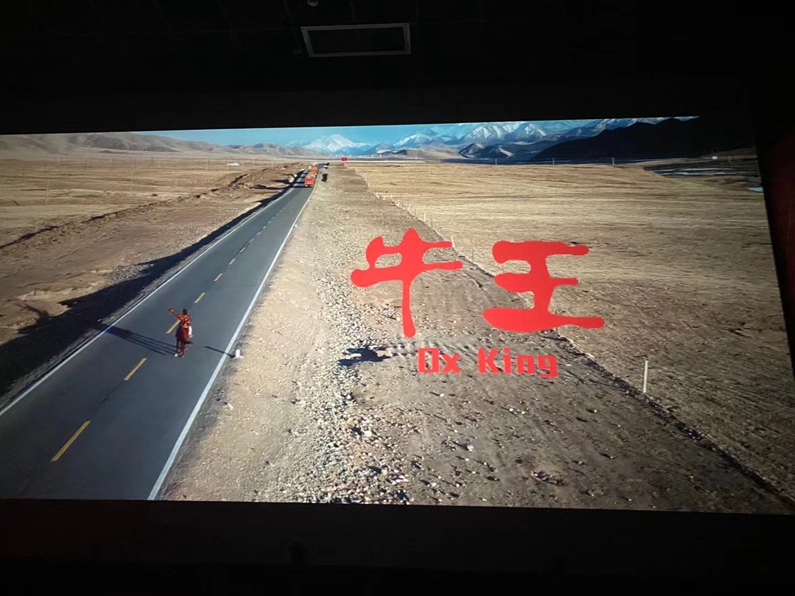  陽信縣城投集團(tuán)：組織干部職工觀看山東省首部扶貧題材院線電影《牛王》